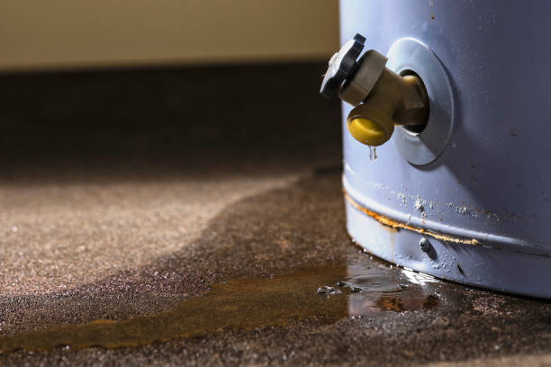 Best Water damage restoration near me  in Escatawpa, MS
