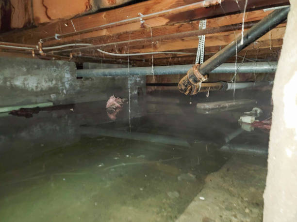  Escatawpa, MS Water damage restoration Pros