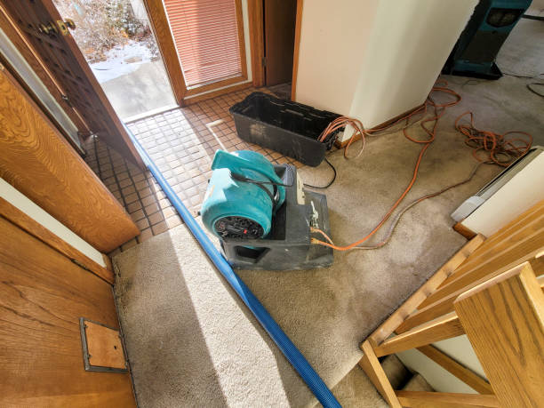 Best Water damage restoration near me  in Escatawpa, MS