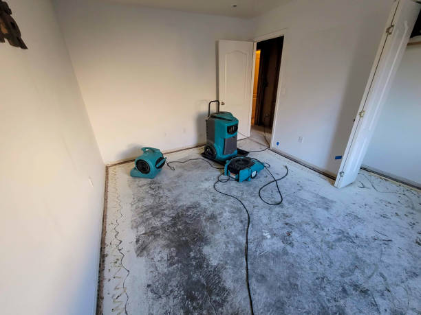 Best Mold removal after water damage  in Escatawpa, MS