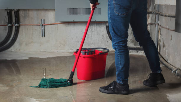 Best Water damage restoration near me  in Escatawpa, MS