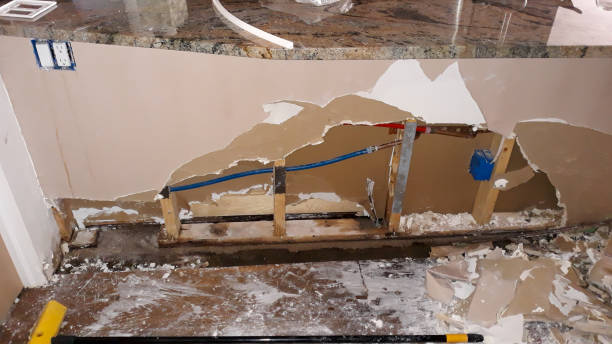 Best Water damage contractors near me  in Escatawpa, MS