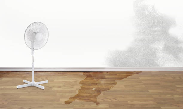Water damage restoration insurance claims in Escatawpa, MS