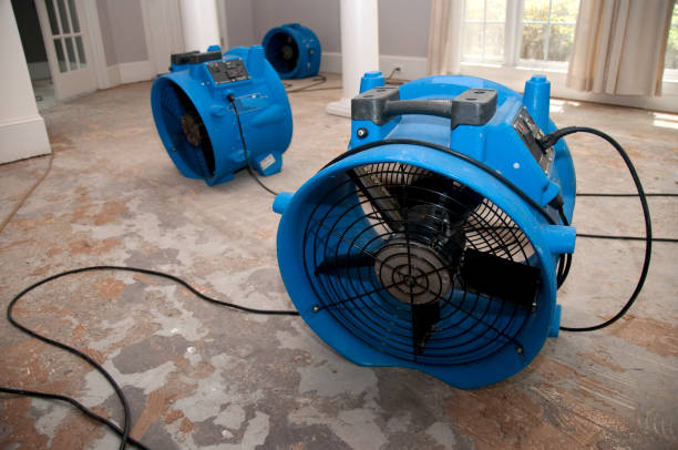 Local water damage restoration in Escatawpa, MS