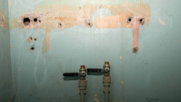Best Water damage cleanup near me  in Escatawpa, MS