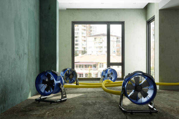24/7 water damage repair in Escatawpa, MS